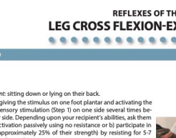 Leg Cross FlexionExtension Reflex Exercise Handouts